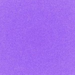 Meet your Posher, Lila